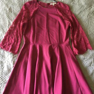 NWOT Hot Pink Lace Skater Dress